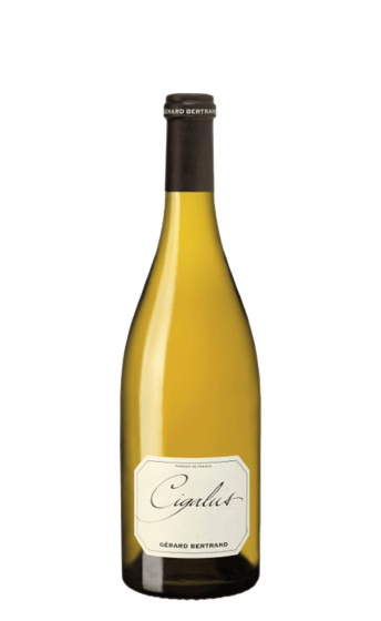 Cigalus Blanc