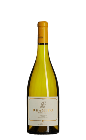 Bramito della Sala Chardonnay Umbria IGT