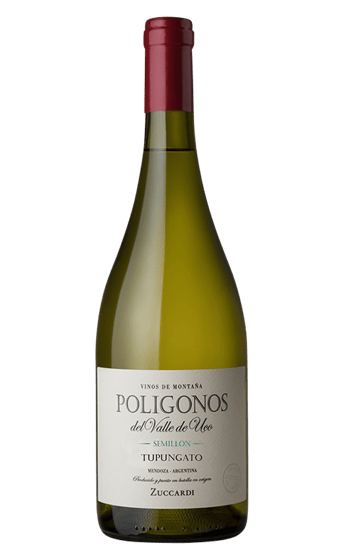 Zuccardi Poligonos Tupungato Semillon