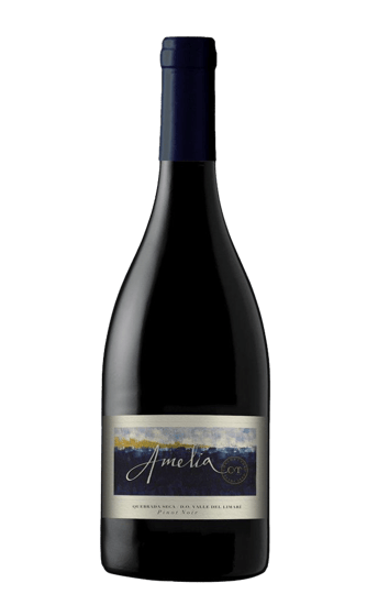 Amelia Pinot Noir 2019