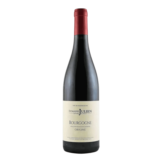 Bourgogne Rouge, Domaine Gerard Julien & Fils 2022