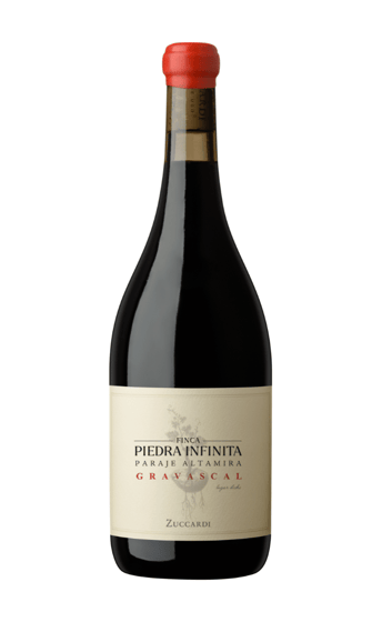 Zuccardi Finca Piedra Infinita Gravascal 2019