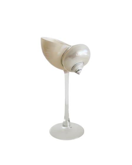 Pearl Seashell Glass With Clear Stem 10 CL x 2