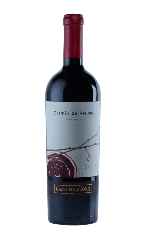 Carmin De Peumo 2009