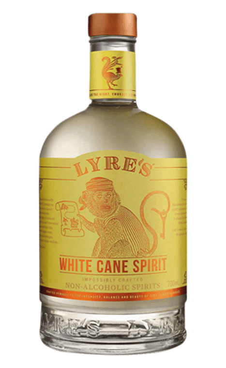 Lyre's White Cane